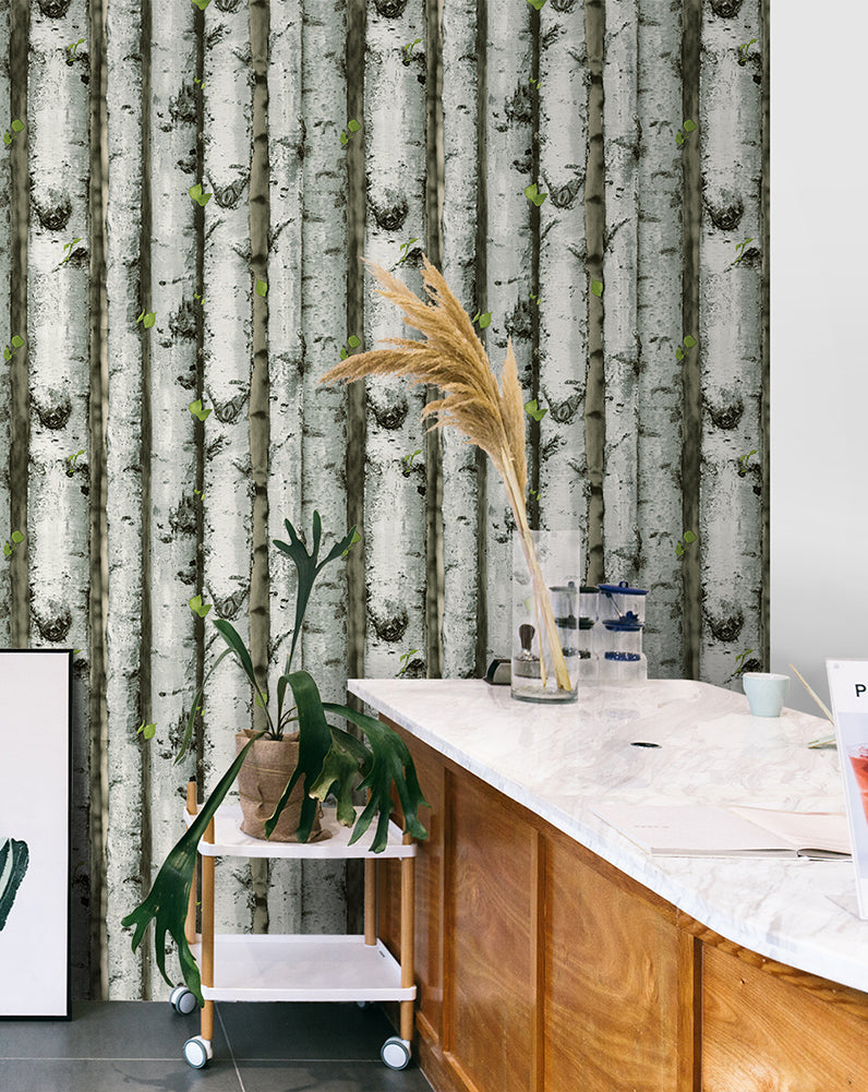 Floralplus Wallpaper Peel and Stick Birch Tree Forest Grey Green Rustic Wood Removable Wall Mural Farmhouse Cabin Bedroom Living Room Bathroom Decor