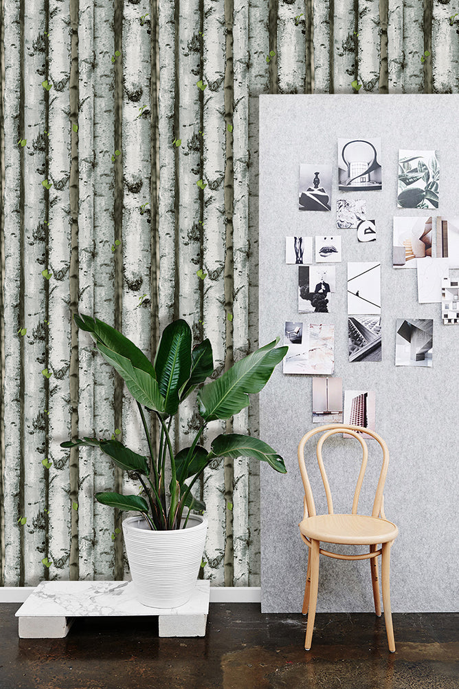 Floralplus Wallpaper Peel and Stick Birch Tree Forest Grey Green Rustic Wood Removable Wall Mural Farmhouse Cabin Bedroom Living Room Bathroom Decor